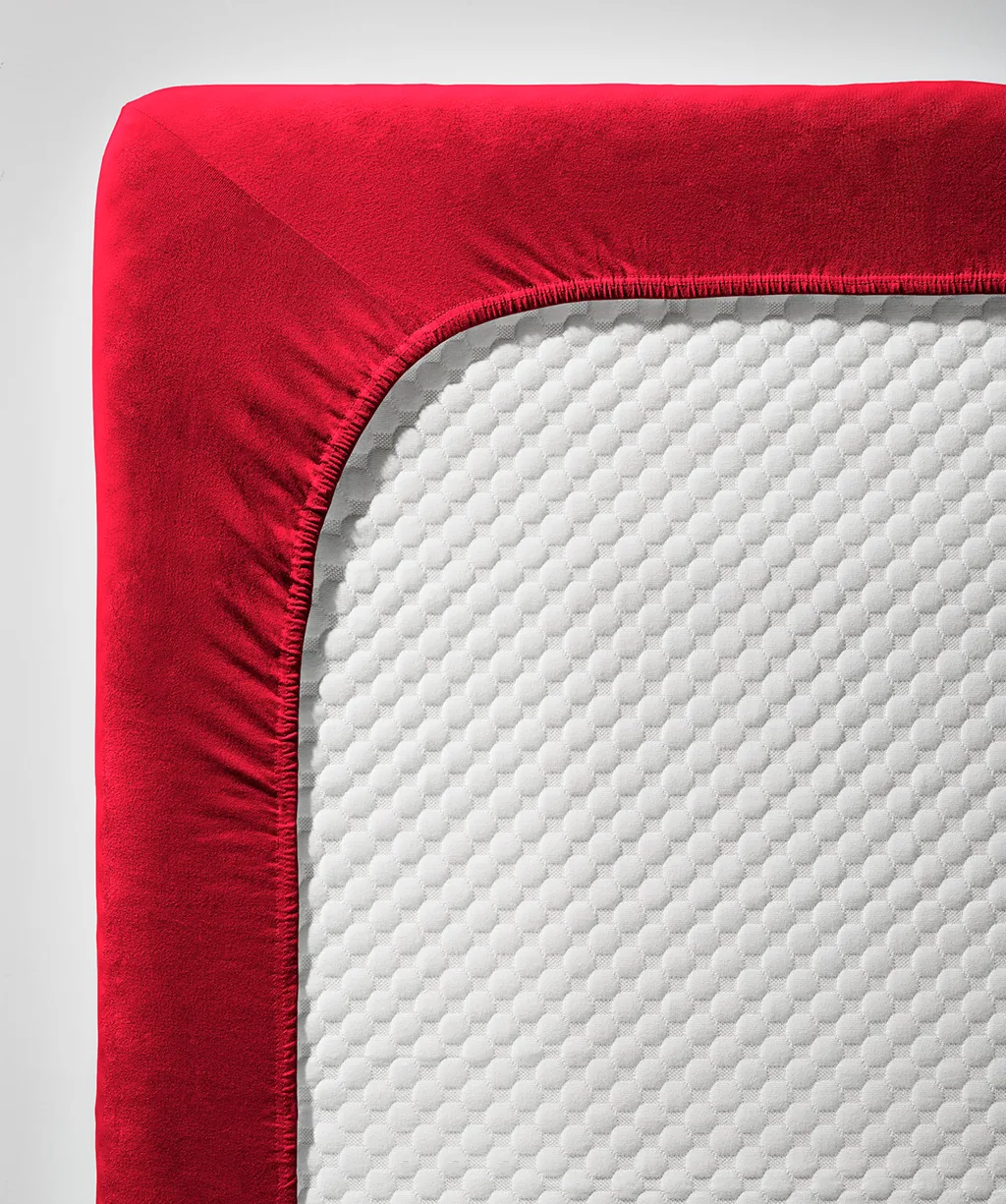 SJersey Rot – Detail